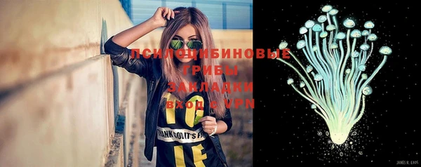 ешки Арсеньев