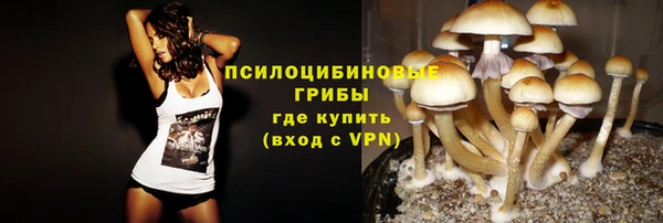 ГАЛЛЮЦИНОГЕННЫЕ ГРИБЫ Аркадак