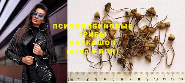 твердый Армянск