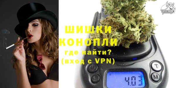 ГАЛЛЮЦИНОГЕННЫЕ ГРИБЫ Аркадак