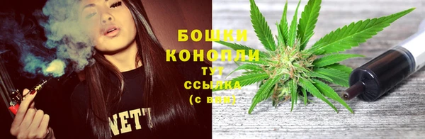ешки Арсеньев