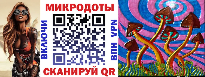 где купить наркотик  Сысерть  Галлюциногенные грибы Psilocybe 